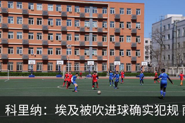 科里纳：埃及被吹进球确实犯规 萨拉赫倒地正常接触