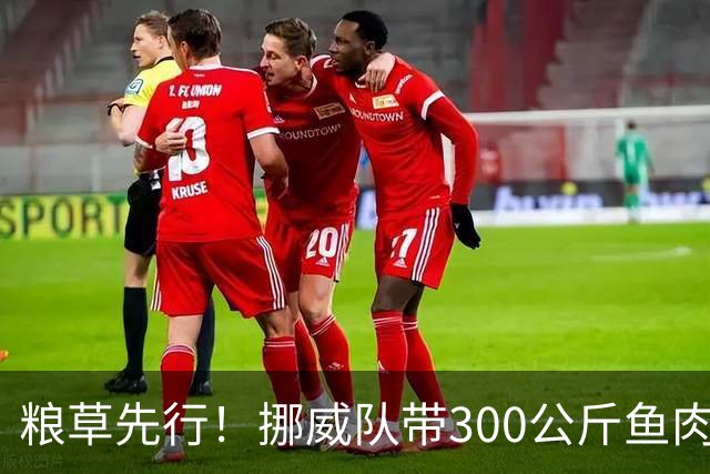 粮草先行！挪威队带300公斤鱼肉+116公斤奶酪赴美踢世界杯