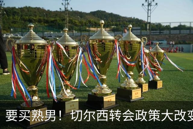 要买熟男！切尔西转会政策大改变 想引进35岁维尔贝克